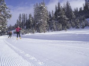 Der Ski-Klassiker: So können Sie Langlauf lernen
